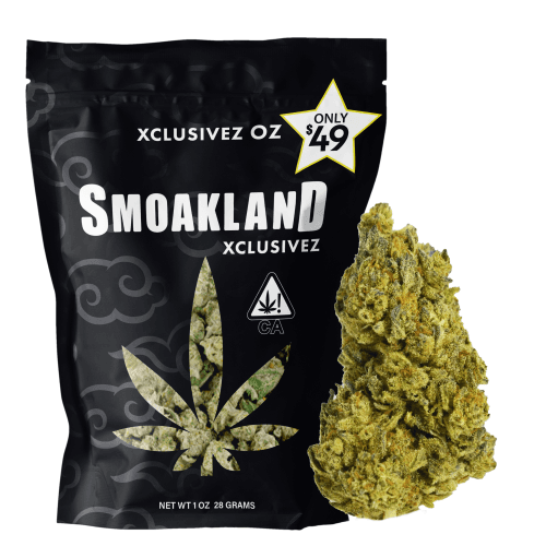 Xclusivez - Blueberry Space Cake (SEEDED - CBD-Rich) - (I/H) - 28g