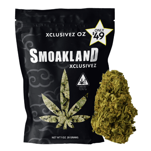 Xclusivez - Strawberry Cheesecake (I) - 28g