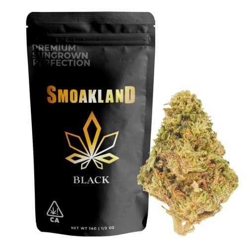 Black - Gorilla Mintz (H) - 14g