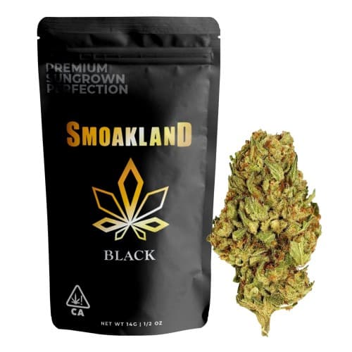 Black - White Truffle (H) - 14g