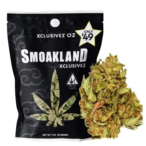 Xclusivez - Apple Fritter (H) - 28g