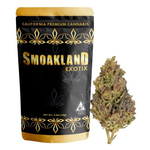 Exotix - Banana Runtz (H) - 14g