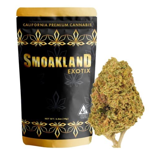 Exotix - Biscotti - 14g