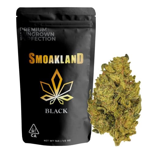 BLACK - Blackberry Haze - 14g