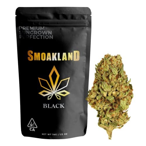 Black - Chem 4 (H) - 14g