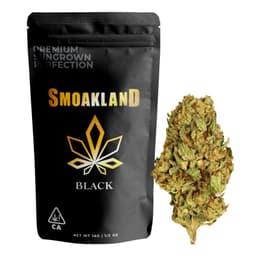 Black Cherry Gelato (Hybrid) - 14g