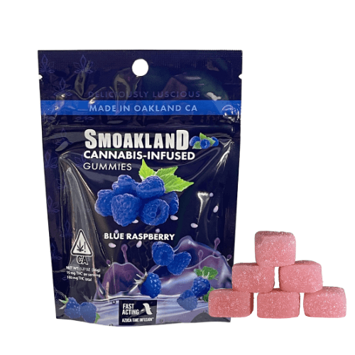 Gummies 2.0 - Blue Raspberry (H) - 100mg