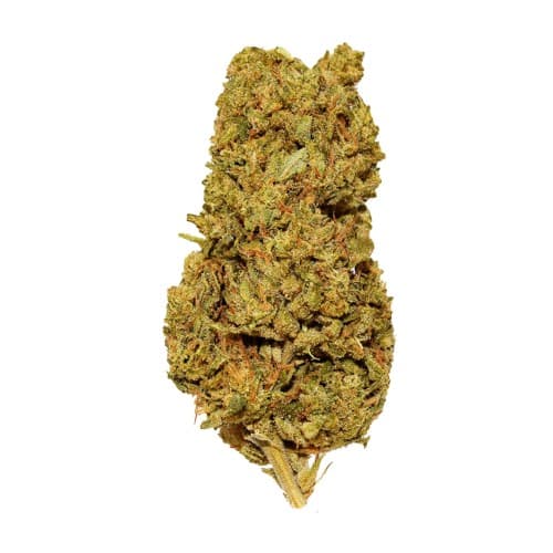 BLACK - Galactic Cookies - 14g