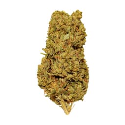 Galactic Cookies (Hybrid) - 14g