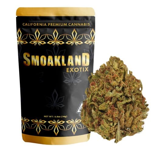 Exotix - GSC (H) - 14g