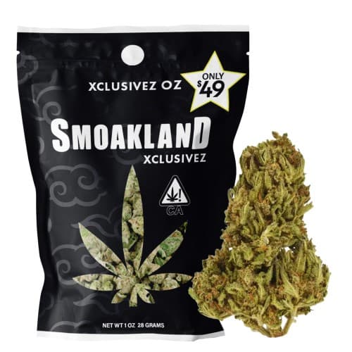 Xclusivez - Hawaiian Runtz (H) - 28g