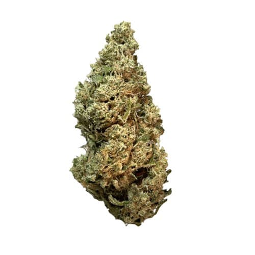 Exotix - Jack The Ripper (S) - 14g