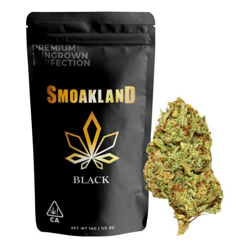 Black - Key Lime Pie (H) - 14g