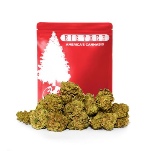 Big Tree - Lunch Box (I) - 14g