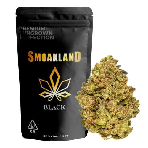 Black - Oil Spill (H) - 14g