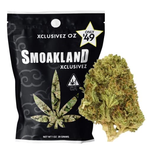 Xclusivez (SEEDED)- Purple Punch (I) - 28g