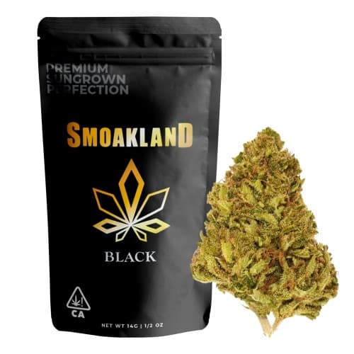 Black - Rainbow Belts - 14g