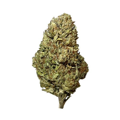 Signature - Splash Brothers Gushers (H) - 28g