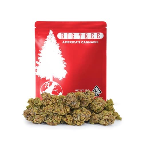 Big Tree - Tiramisu (H) - 14g